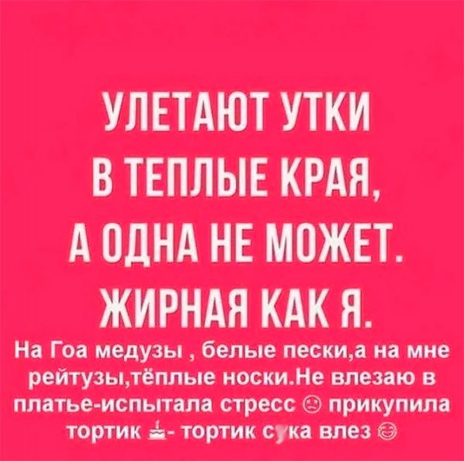 Утки и тортик