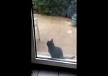 Ламбада за окном)