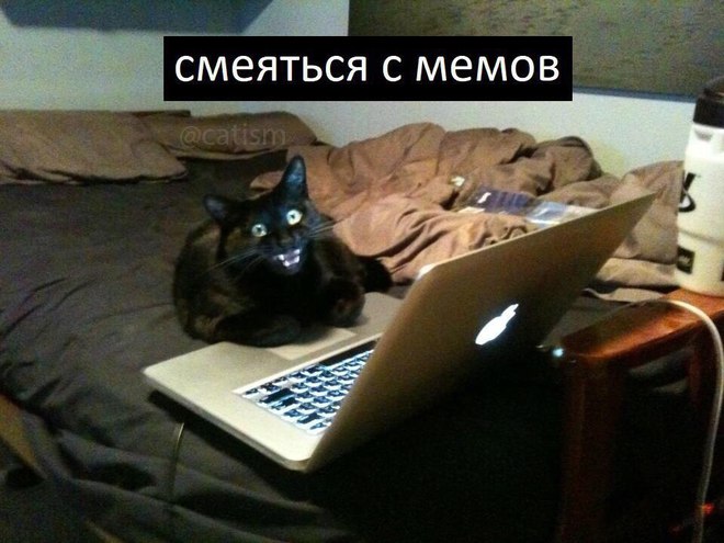 Когда ты мастер: