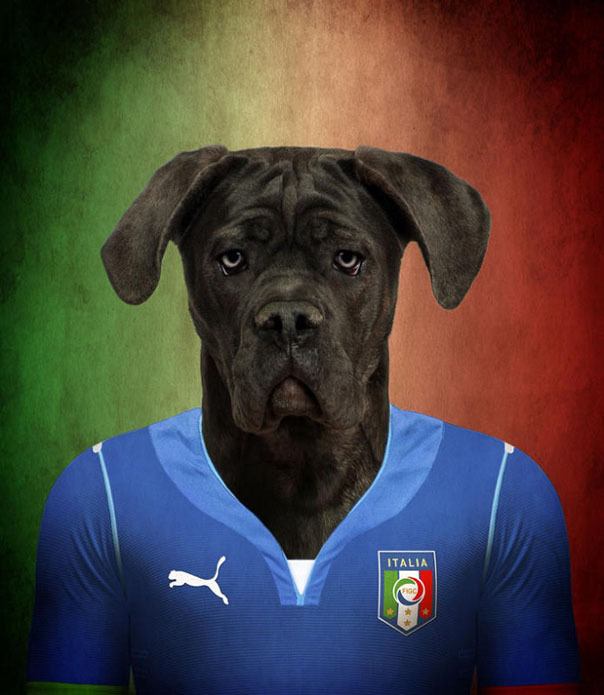 Собачки в формах ЧМ 2014