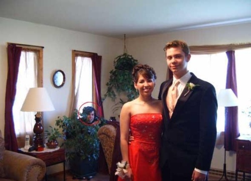 Забавные фотоприколы