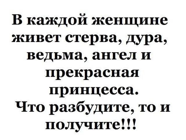Стерва прикол картинка, картинки дороге открытки