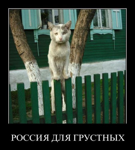 Подборка демотиваторов