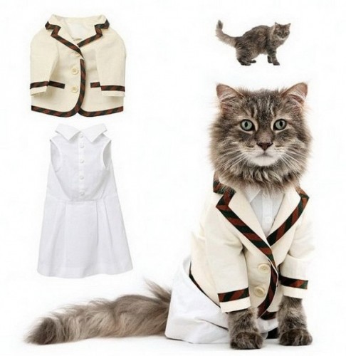 Мода для котов
