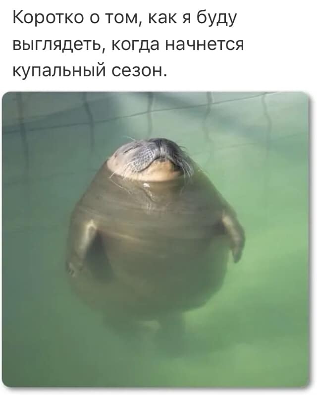 Лето и море