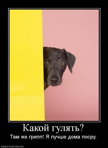 С ума сошли?