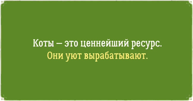 Подборка афоризмов про котов