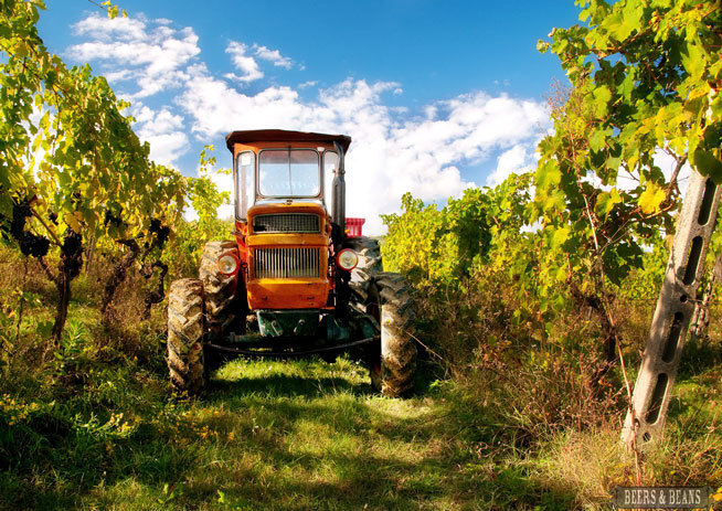 Найкращі тревел-блоги: Beers and Beans
