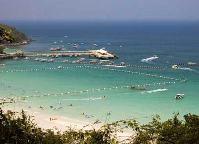 В Таиланде из‑за нашествия ядовитых медуз закрывают пляжи