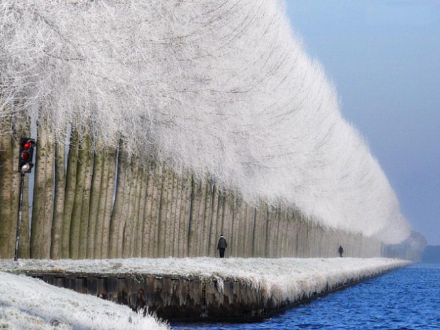14 крутых снимков. Никакого фотошопа