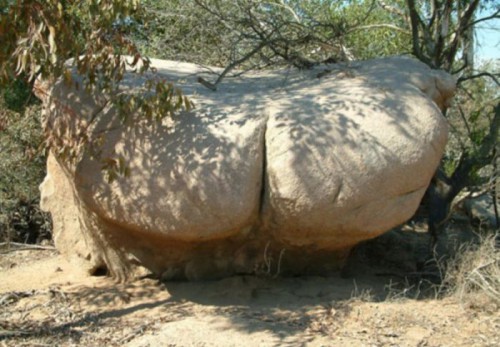 Смешные фото