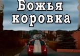 Божья коровка - Ягодка и мандарин