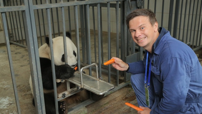 Дмитрий Комаров