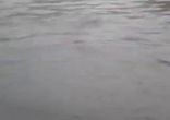 Потоп после ливня в Нижнем Новгороде [  10.06.2014  ]