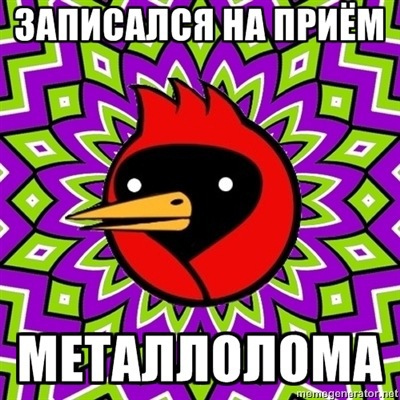 Омская птица