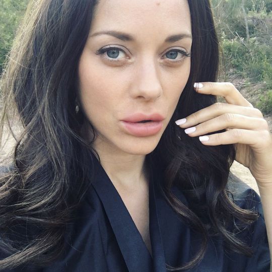 Марион Котийяр (Instagram)