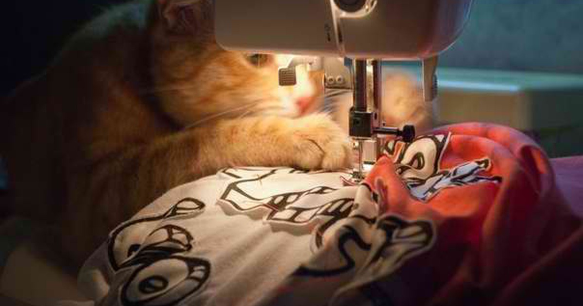 Матроскин вышивает на машинке. Кошка и швейная машинка. Кот шьет. Кот швея. Кот шьет на машинке.
