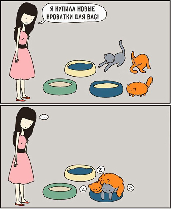 Смешные комиксы про котов