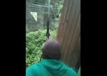 ДЕНЬ 9 ЛУЧШИЕ ПРИКОЛЫ