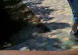 Слоники веселятся)) В Ростовском зоопарке слоны шутники
