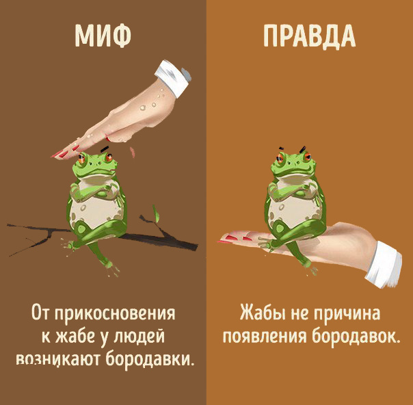 Интересно знать! Мифы и реальность