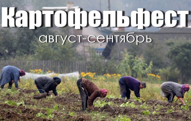Картофельфест на всех огородах страны