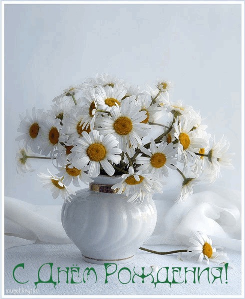 Ромашкового дня рождения