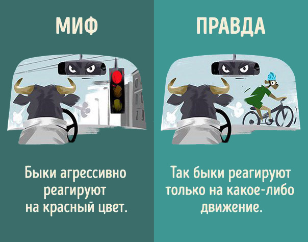 Интересно знать! Мифы и реальность