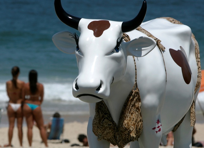 Коровы в Бразилии