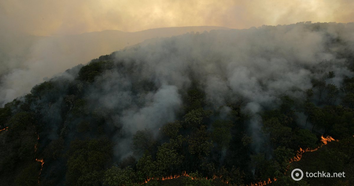 Пылающий лес песня. Дым от вулкана. Вулкан пожар. Вулканизм и Лесные пожары. Вулканические Лесные.