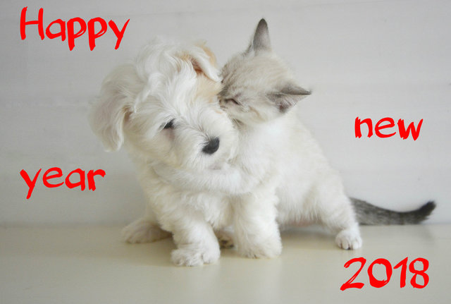 Счастливого Нового года собаки 2018