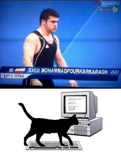 Дал же кот фамилию!)