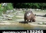 Нарезка колбасы