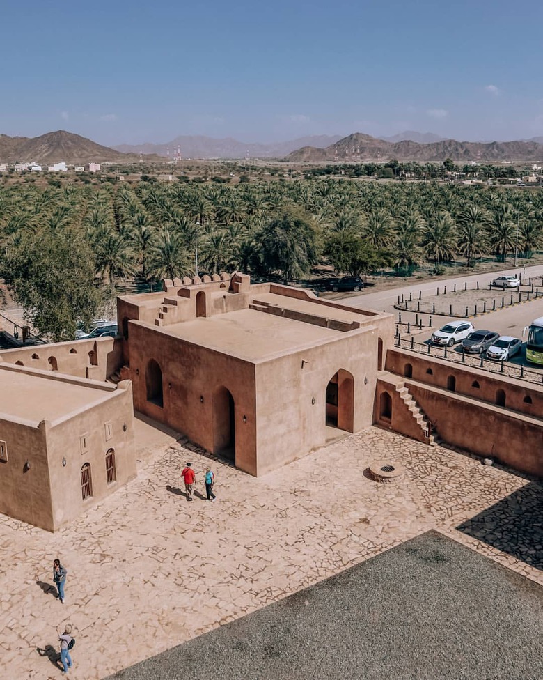 Анна Бурлака