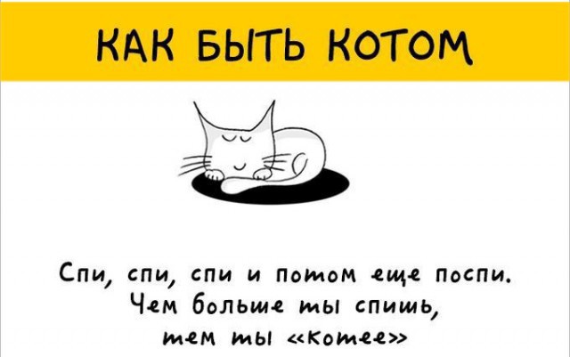 Милый комикс про котов