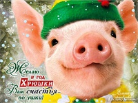 Милые открытки С Новым годом свиньи
