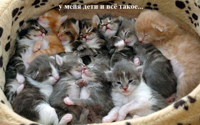 Комикс про пятницу