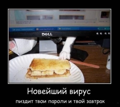 ржака))))))))