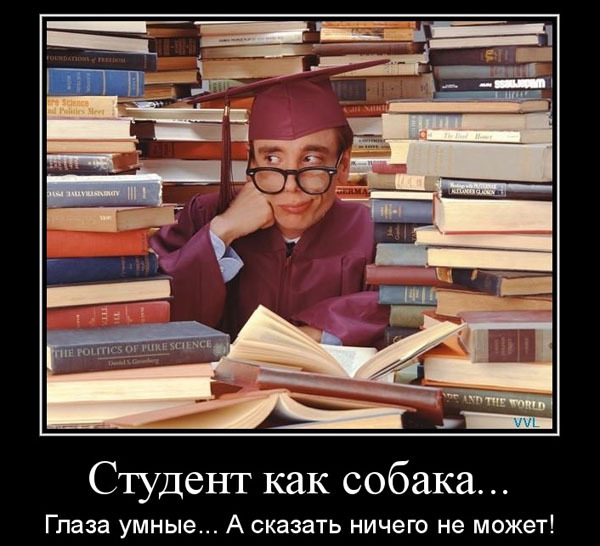 ТОП 15 лучших демотиваторов про студентов