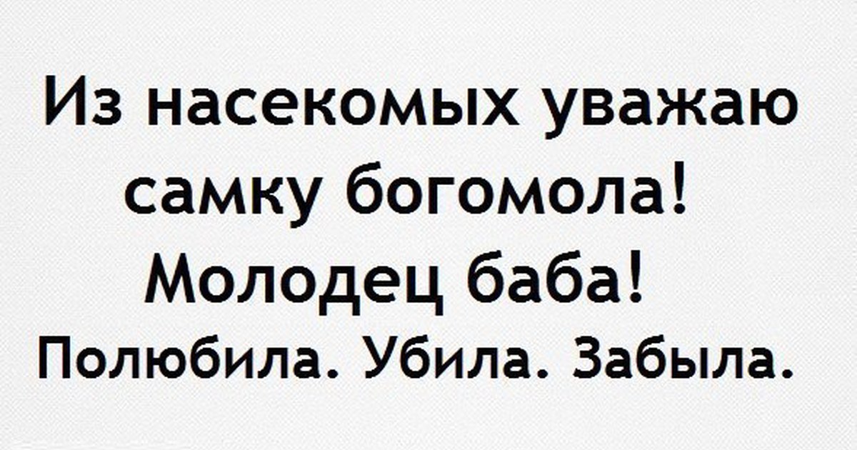 Молодец баба никого не сдала. Молодец баба. Самка богомола приколы. Самка богомола молодец баба.