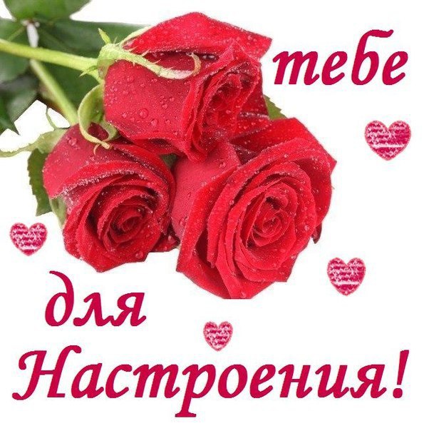 красивые картинки с розами онлайн красивые картинки с розами