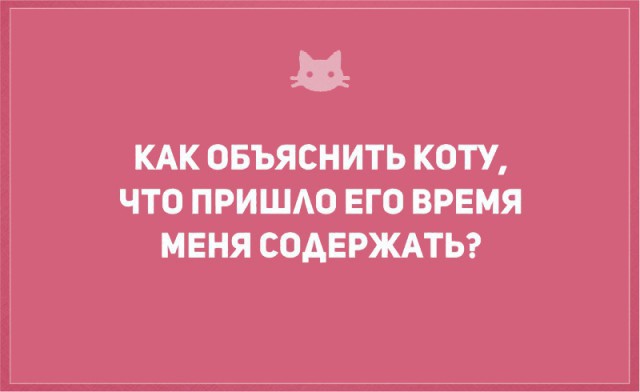 Без кота и жизнь не та