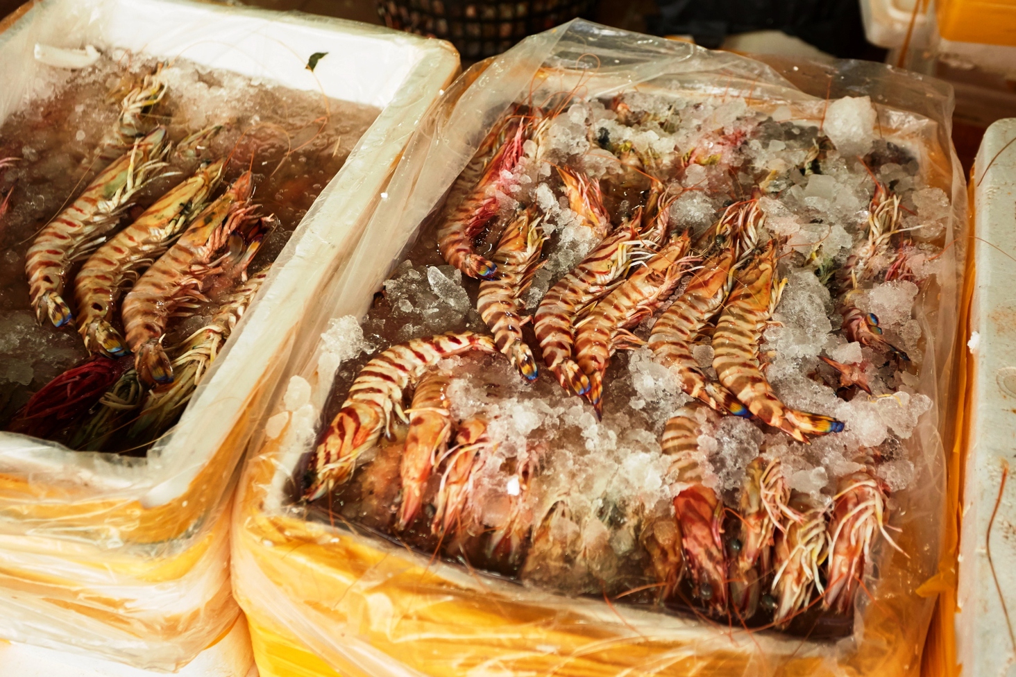 Інший Всесвіт очима популярного фотографа Андрія Саримсакова. Шанхай