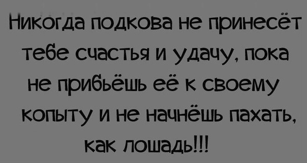 Смешные картинки с текстом