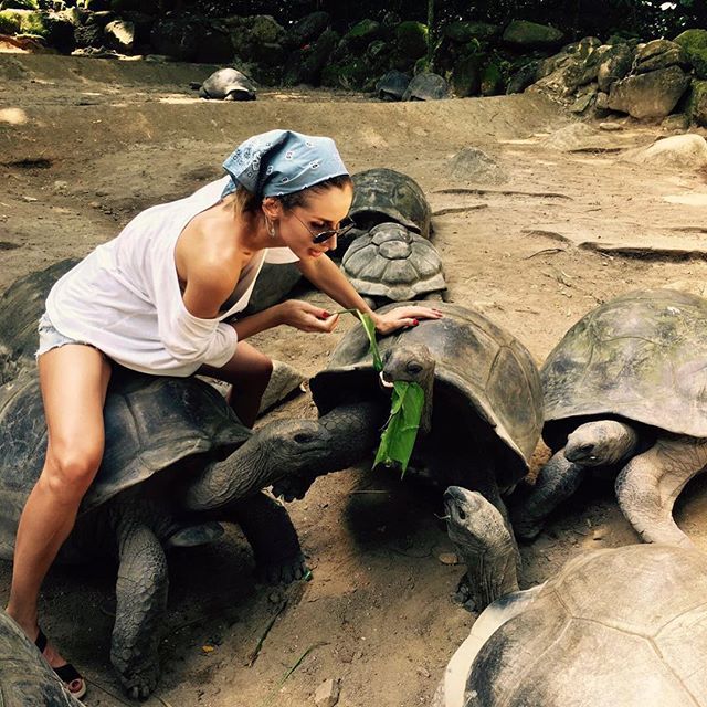 Лобода отдых