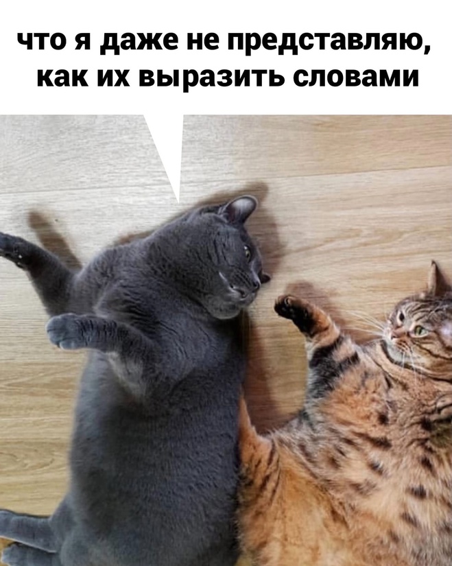 Сильные чувства