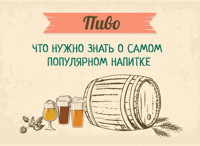 Пиво: что нужно знать о самом популярном напитке