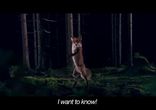 Ylvis - The Fox