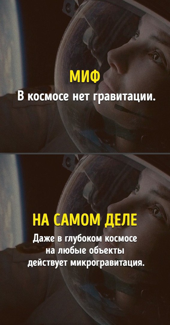 Правда и миф из школьной программы