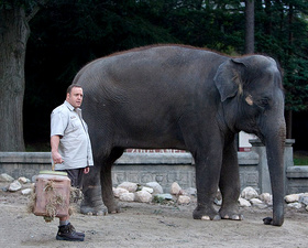 Мой парень из зоопарка